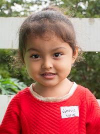 Photo of Genesis